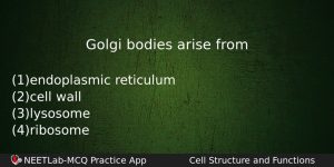 Golgi Bodies Arise From Biology Question