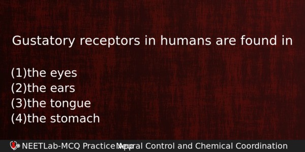 Gustatory Receptors In Humans Are Found In Biology Question 