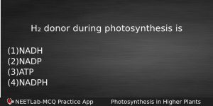 H Donor During Photosynthesis Is Biology Question