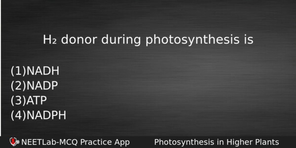 H Donor During Photosynthesis Is Biology Question 