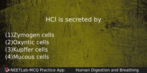 Hcl Is Secreted By Biology Question