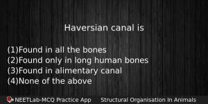 Haversian Canal Is Biology Question