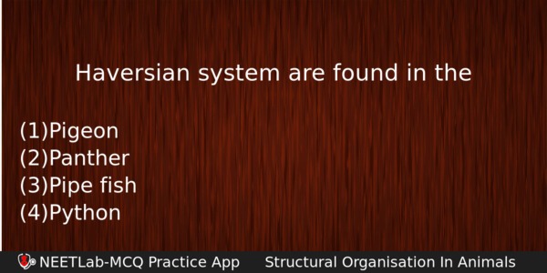 Haversian System Are Found In The Biology Question 