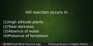 Hill Reaction Occurs In Biology Question