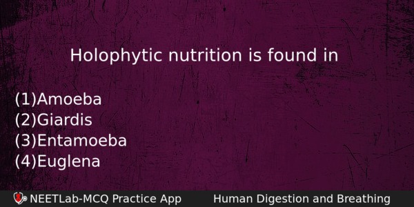 Holophytic Nutrition Is Found In Biology Question 