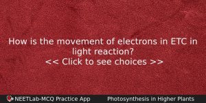 How Is The Movement Of Electrons In Etc In Light Biology Question