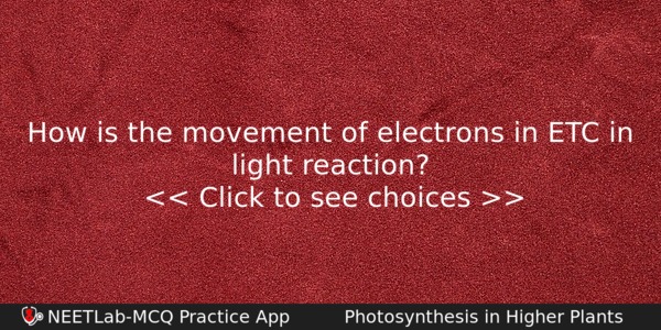 How Is The Movement Of Electrons In Etc In Light Biology Question 
