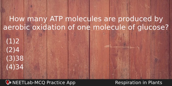 How Many Atp Molecules Are Produced By Aerobic Oxidation Of Biology Question 