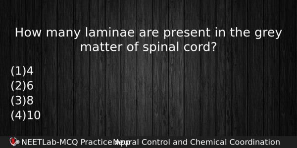 How Many Laminae Are Present In The Grey Matter Of Biology Question 