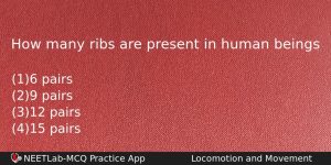 How Many Ribs Are Present In Human Beings Biology Question
