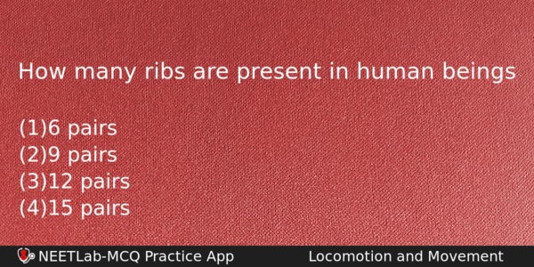 How Many Ribs Are Present In Human Beings Biology Question 