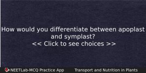How Would You Differentiate Between Apoplast And Symplast Biology Question