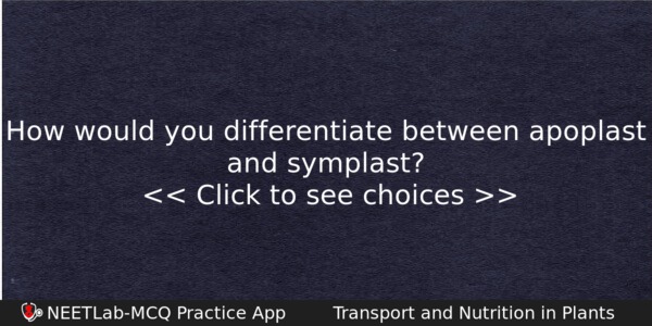 How Would You Differentiate Between Apoplast And Symplast Biology Question 