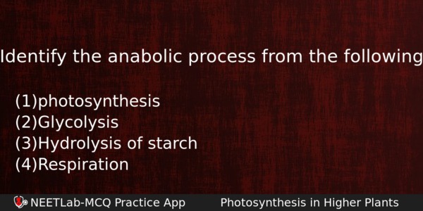 Identify The Anabolic Process From The Following Biology Question 