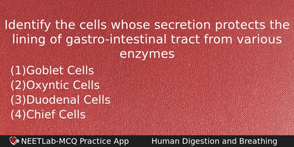 Identify The Cells Whose Secretion Protects The Lining Of Gastrointestinal Biology Question 