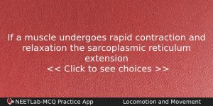 If A Muscle Undergoes Rapid Contraction And Relaxation The Sarcoplasmic Biology Question
