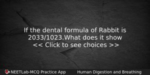 If The Dental Formula Of Rabbit Is 20331023what Does It Biology Question