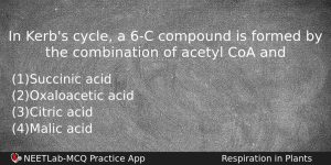 In Kerbs Cycle A 6c Compound Is Formed By The Biology Question