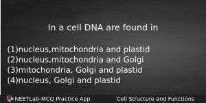 In A Cell Dna Are Found In Biology Question