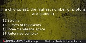 In A Chloroplast The Highest Number Of Protons Are Found Biology Question