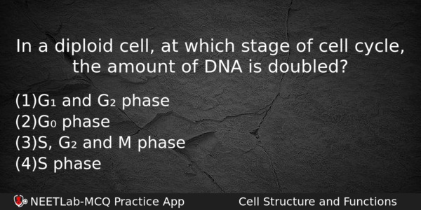 In A Diploid Cell At Which Stage Of Cell Cycle Biology Question 