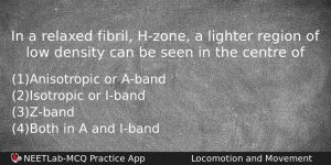 In A Relaxed Fibril Hzone A Lighter Region Of Low Biology Question