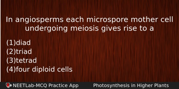 In Angiosperms Each Microspore Mother Cell Undergoing Meiosis Gives Rise Biology Question 
