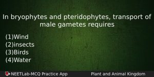 In Bryophytes And Pteridophytes Transport Of Male Gametes Requires Biology Question