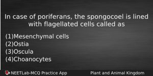 In Case Of Poriferans The Spongocoel Is Lined With Flagellated Biology Question