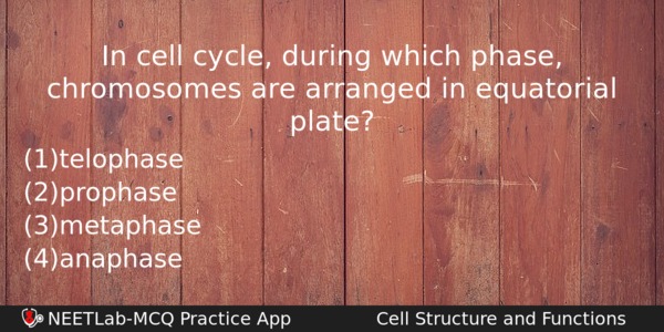 In Cell Cycle During Which Phase Chromosomes Are Arranged In Biology Question 