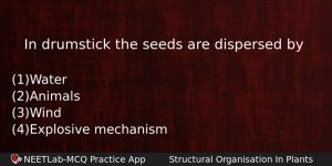 In Drumstick The Seeds Are Dispersed By Biology Question
