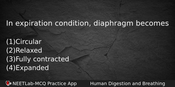 In Expiration Condition Diaphragm Becomes Biology Question 