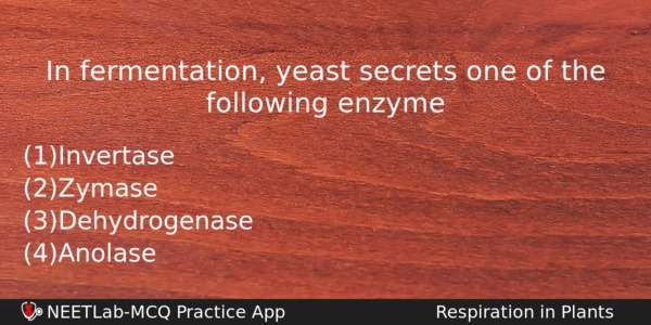 In Fermentation Yeast Secrets One Of The Following Enzyme Biology Question 