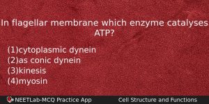 In Flagellar Membrane Which Enzyme Catalyses Atp Biology Question