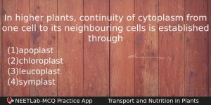 In Higher Plants Continuity Of Cytoplasm From One Cell To Biology Question