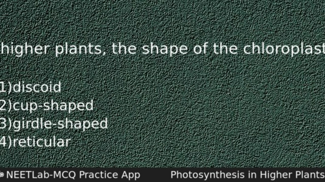 In higher plants the shape of the chloroplast is - NEETLab