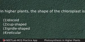 In Higher Plants The Shape Of The Chloroplast Is Biology Question