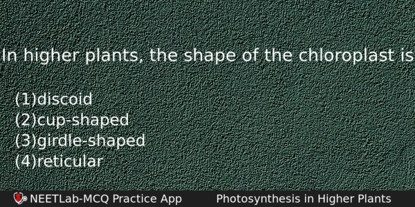In Higher Plants The Shape Of The Chloroplast Is Biology Question 