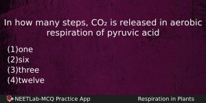 In How Many Steps Co Is Released In Aerobic Respiration Biology Question