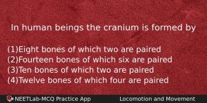 In Human Beings The Cranium Is Formed By Biology Question