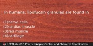 In Humans Lipofucsin Granules Are Found In Biology Question