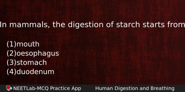 In Mammals The Digestion Of Starch Starts From Biology Question 