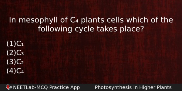 In Mesophyll Of C Plants Cells Which Of The Following Biology Question 