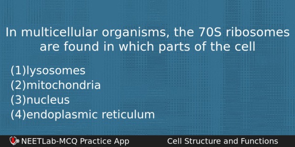 In Multicellular Organisms The 70s Ribosomes Are Found In Which Biology Question 