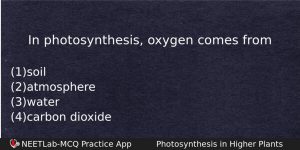 In Photosynthesis Oxygen Comes From Biology Question