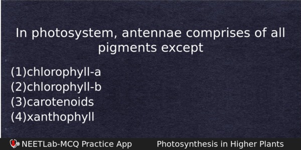 In Photosystem Antennae Comprises Of All Pigments Except Biology Question 