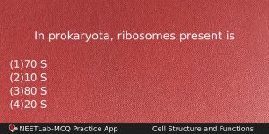 In Prokaryota Ribosomes Present Is Biology Question