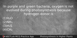 In Purple And Green Bacteria Oxygen Is Not Evolved During Biology Question