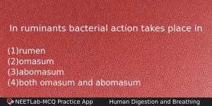 In Ruminants Bacterial Action Takes Place In Biology Question