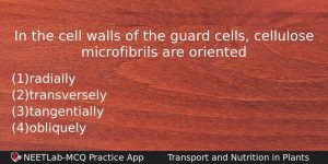 In The Cell Walls Of The Guard Cells Cellulose Microfibrils Biology Question